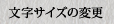 文字サイズの変更